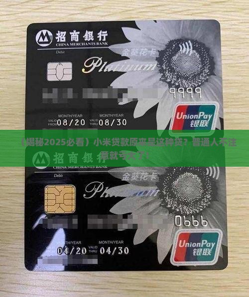 原来的小米贷款是什么贷