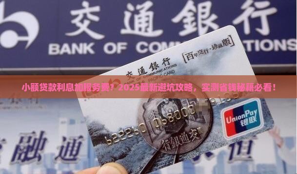 小额贷款利息加服务费