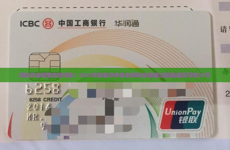 微粒贷去哪里贷款好批