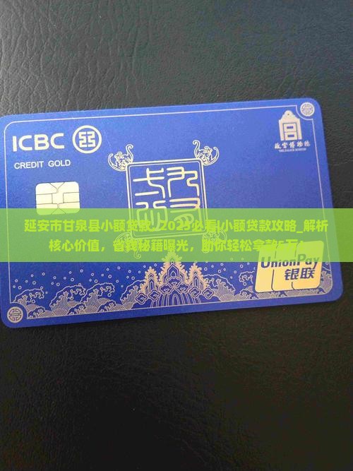 延安市甘泉县小额贷款