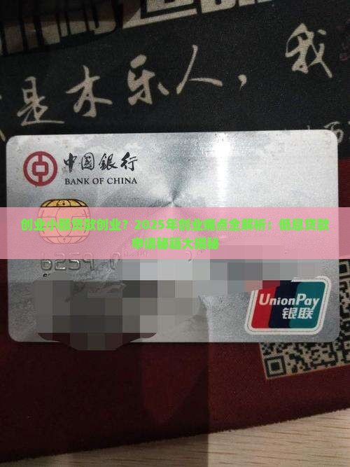 创业小额贷款创业