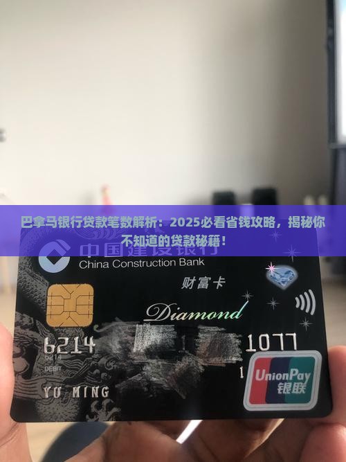 巴拿马银行贷款笔数