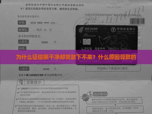 为什么征信很干净却贷款下不来？什么原因导致的