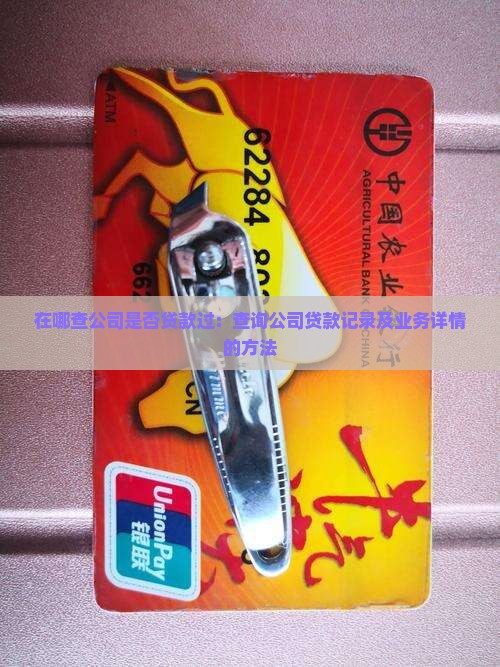 在哪查公司是否贷款过：查询公司贷款记录及业务详情的方法