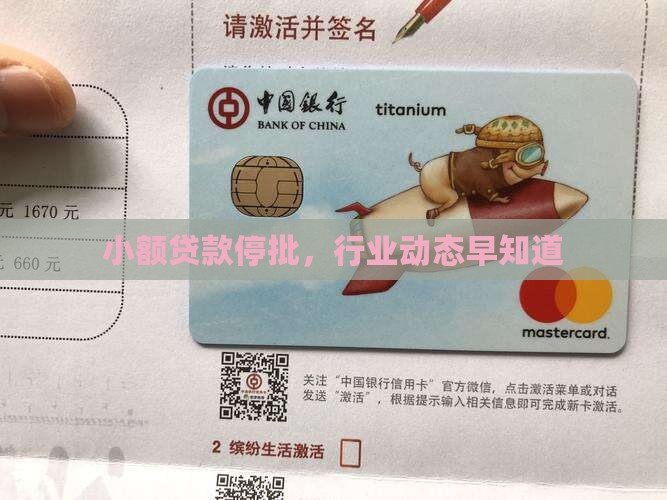 小额贷款停批，行业动态早知道