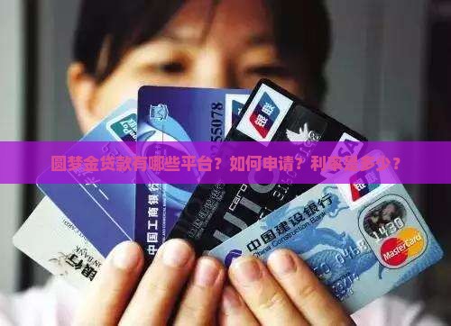 圆梦金贷款有哪些平台？如何申请？利率是多少？