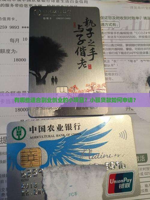 有哪些适合副业创业的小项目？小额贷款如何申请？