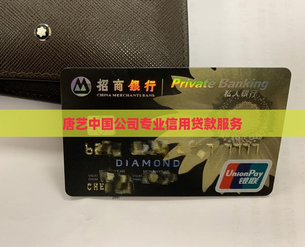 唐艺中国公司专业信用贷款服务