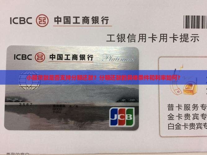 小额贷款是否支持分期还款？分期还款的具体条件和利率如何？