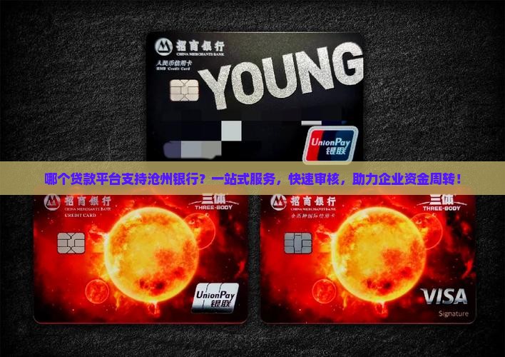 哪个贷款平台支持沧州银行？一站式服务，快速审核，助力企业资金周转！