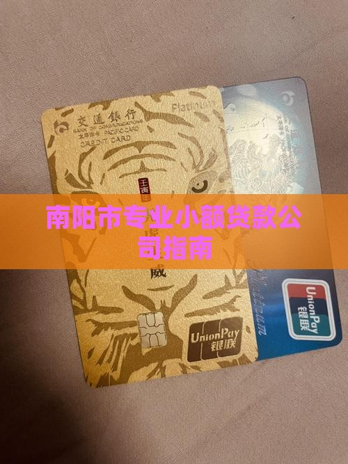 南阳市专业小额贷款公司指南