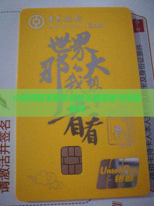 小额贷款呆账形成的关键因素与原因探究