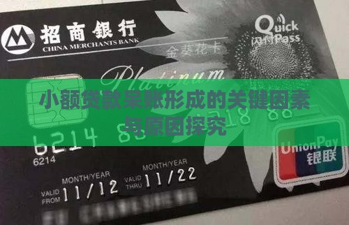 小额贷款呆账形成的关键因素与原因探究