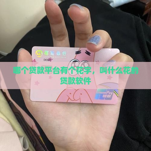 哪个贷款平台有个花字，叫什么花的贷款软件