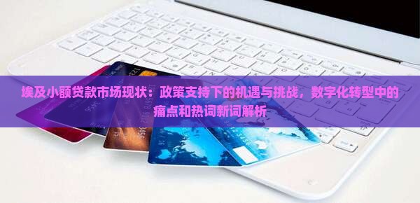 埃及小额贷款市场现状：政策支持下的机遇与挑战，数字化转型中的痛点和热词新词解析