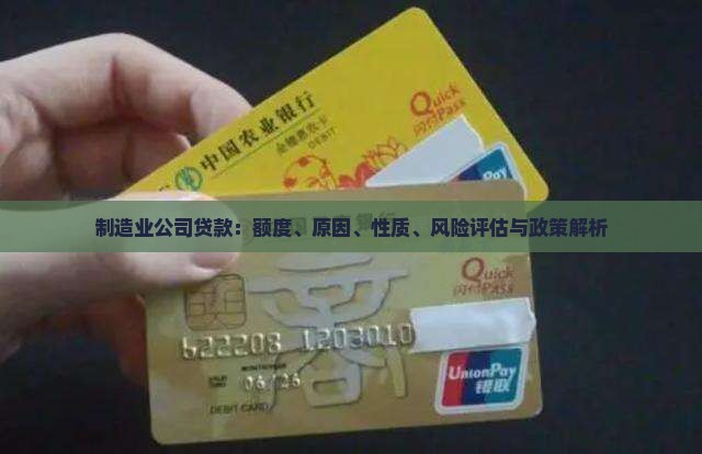 制造业公司贷款：额度、原因、性质、风险评估与政策解析