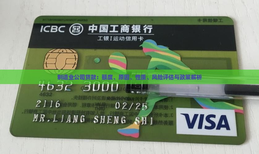 制造业公司贷款：额度、原因、性质、风险评估与政策解析
