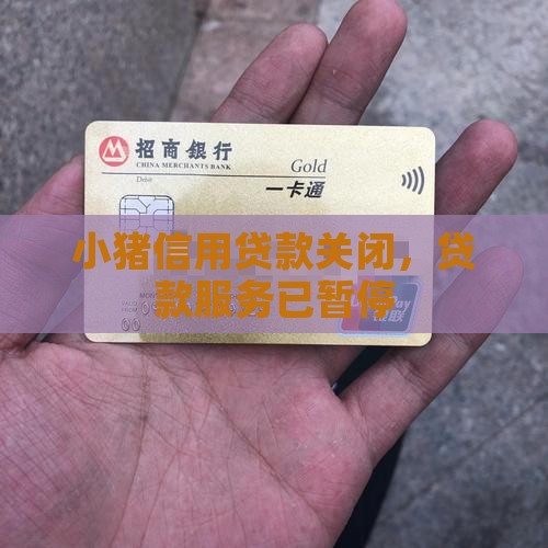 小猪信用贷款关闭，贷款服务已暂停