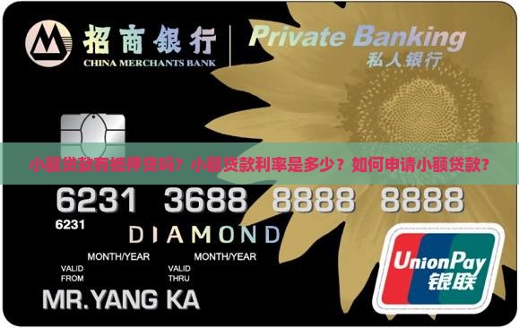 小额贷款有抵押贷吗？小额贷款利率是多少？如何申请小额贷款？