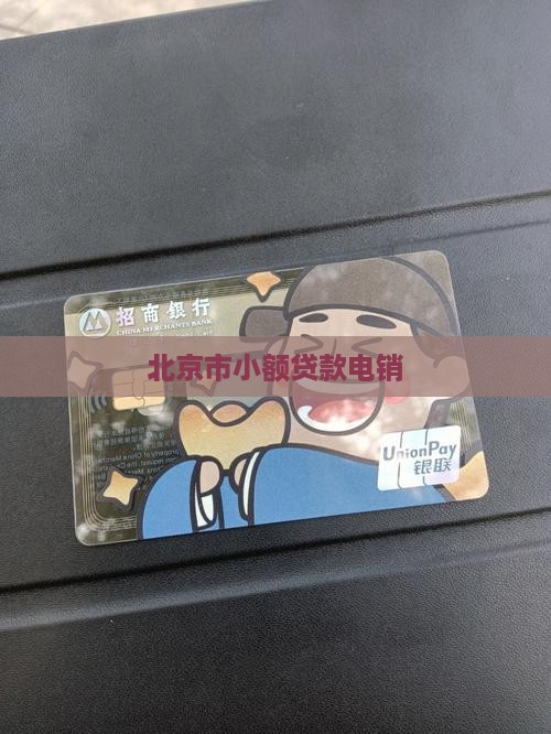北京市小额贷款电销