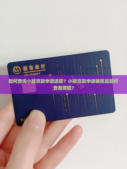 如何查询小额贷款申请进度？小额贷款申请被拒后如何查看原因？