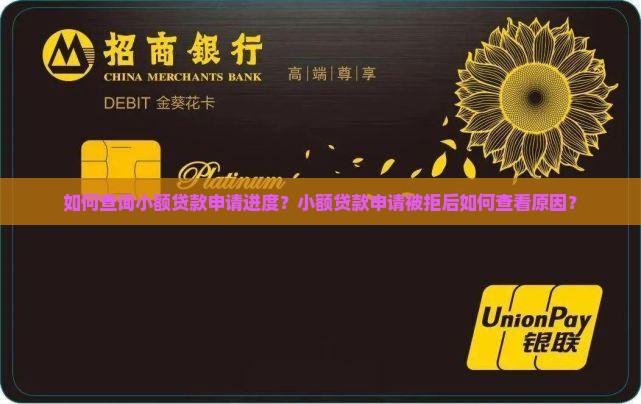 如何查询小额贷款申请进度？小额贷款申请被拒后如何查看原因？