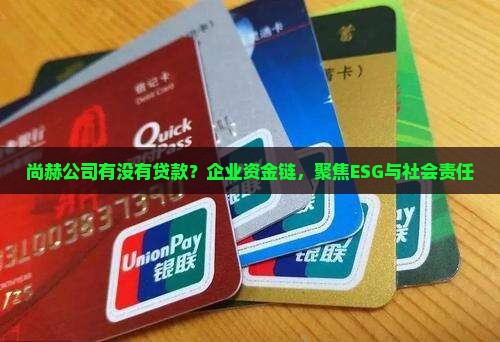 尚赫公司有没有贷款？企业资金链，聚焦ESG与社会责任