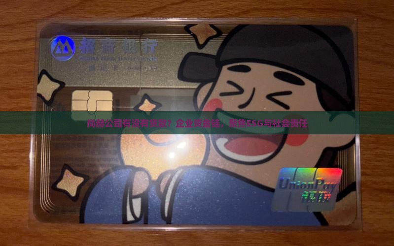 尚赫公司有没有贷款？企业资金链，聚焦ESG与社会责任
