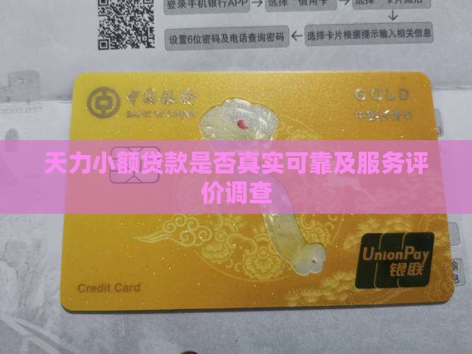 天力小额贷款是否真实可靠及服务评价调查