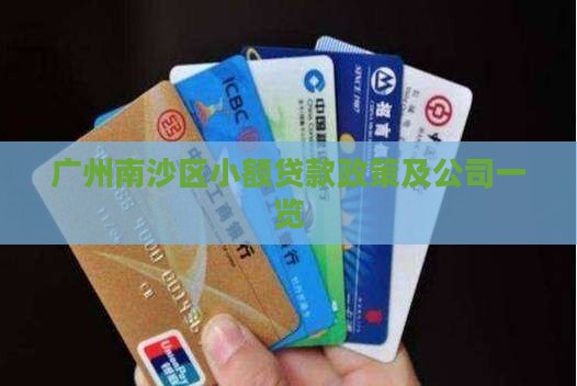 广州南沙区小额贷款政策及公司一览