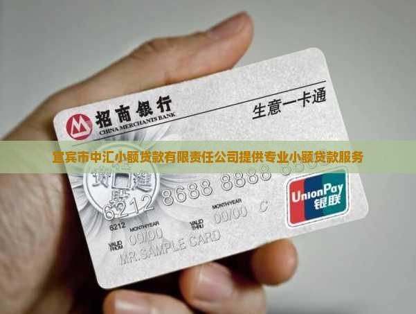宜宾市中汇小额贷款有限责任公司提供专业小额贷款服务