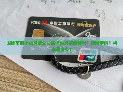 固原市的小额贷款公司提供再贷款服务吗？如何申请？利率是多少？
