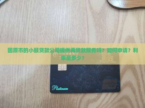 固原市的小额贷款公司提供再贷款服务吗？如何申请？利率是多少？
