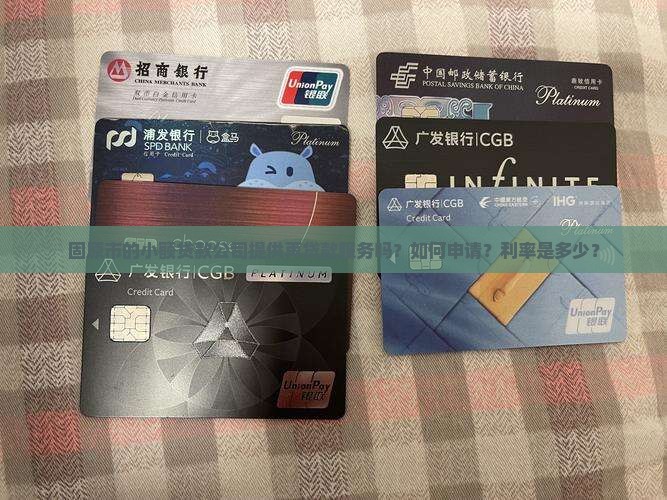 固原市的小额贷款公司提供再贷款服务吗？如何申请？利率是多少？
