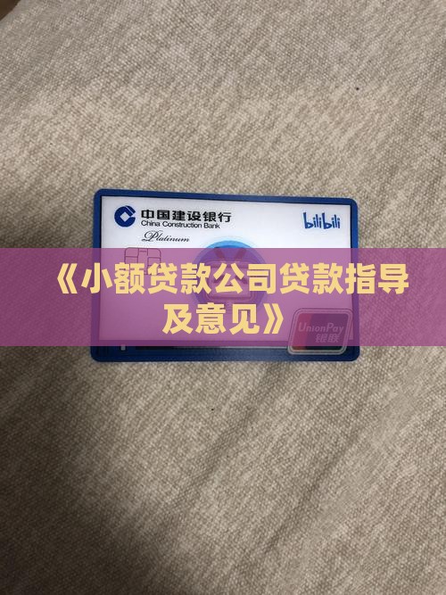 《小额贷款公司贷款指导及意见》