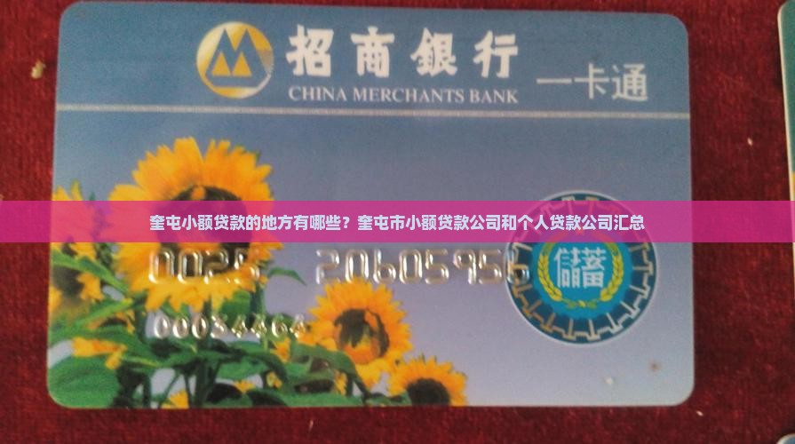 奎屯小额贷款的地方有哪些？奎屯市小额贷款公司和个人贷款公司汇总