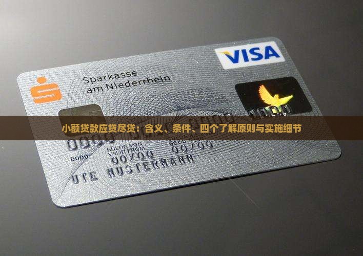 小额贷款应贷尽贷：含义、条件、四个了解原则与实施细节