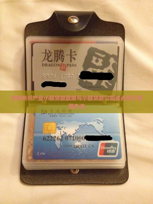 吉林新兴产业小额贷款政策与小额贷款公司试点暂行管理办法