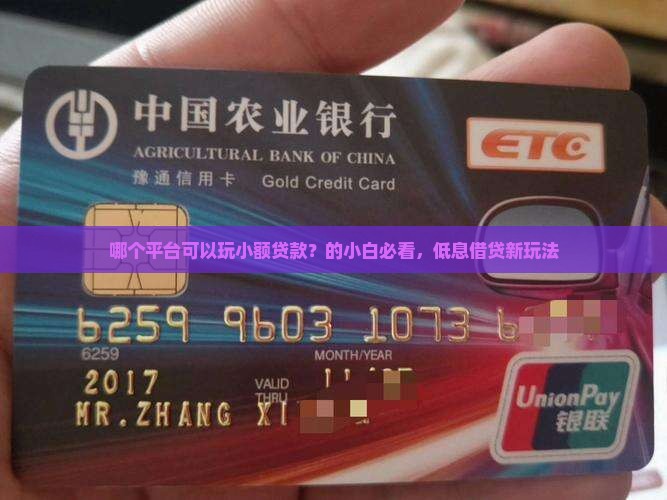 哪个平台可以玩小额贷款？的小白必看，低息借贷新玩法