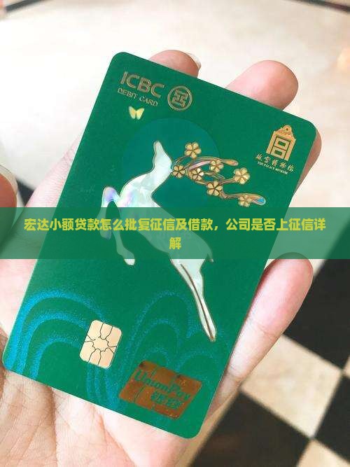 宏达小额贷款怎么批复征信及借款，公司是否上征信详解