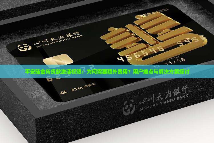 平安陆金所贷款激活权限：为何需要额外费用？用户痛点与解决方案探讨