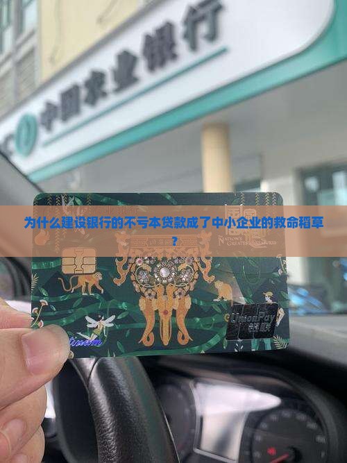 为什么建设银行的不亏本贷款成了中小企业的救命稻草？