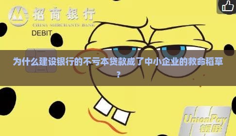 为什么建设银行的不亏本贷款成了中小企业的救命稻草？