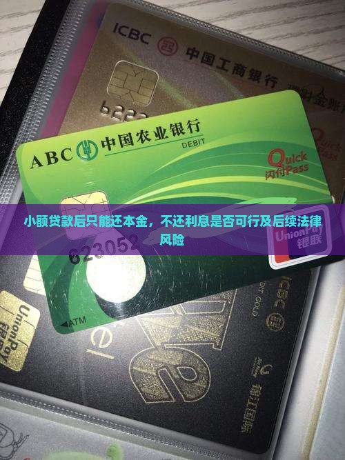 小额贷款后只能还本金，不还利息是否可行及后续法律风险