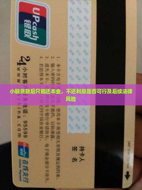 小额贷款后只能还本金，不还利息是否可行及后续法律风险