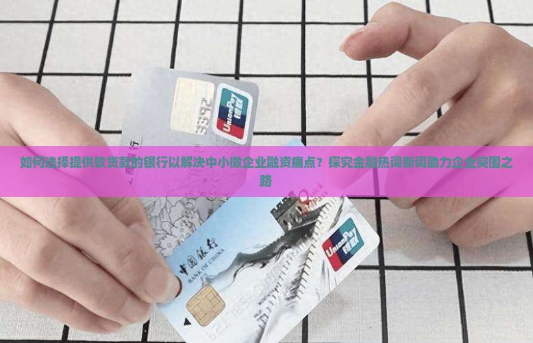 如何选择提供软贷款的银行以解决中小微企业融资痛点？探究金融热词新词助力企业突围之路