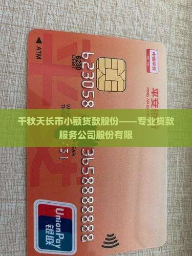 千秋天长市小额贷款股份——专业贷款服务公司股份有限