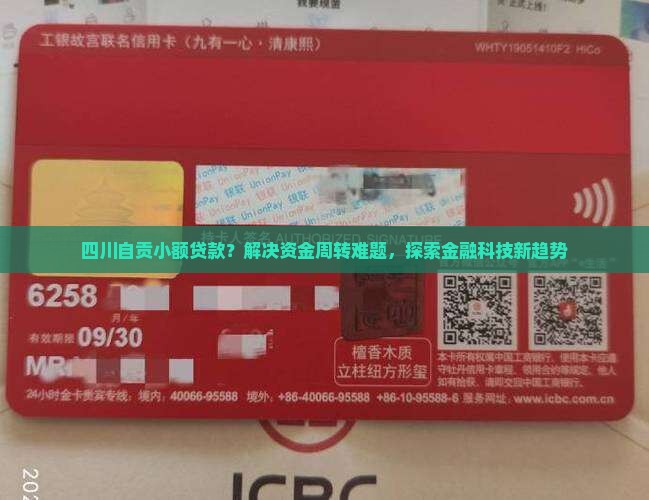 四川自贡小额贷款？解决资金周转难题，探索金融科技新趋势