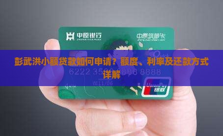 彭武洪小额贷款如何申请？额度、利率及还款方式详解