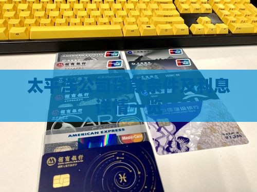 太平洋公司贷款条件及利息详情一览